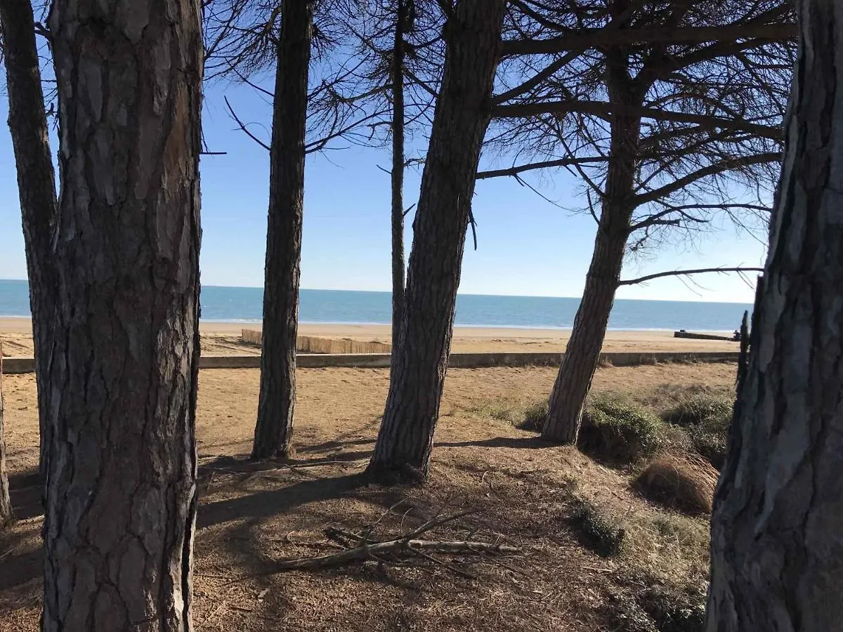 Apartments In Bibione 36877